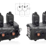 PVDF2 Anson Hydraulic Variable Vane Pump